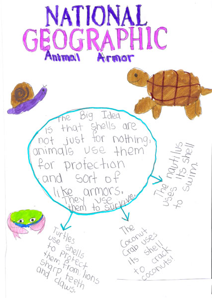 Student analysis of a national geographic book about animal armor and how shells are used for protection from prey