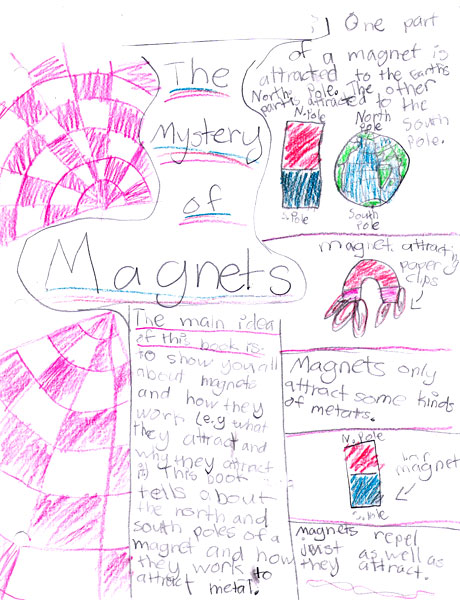 Student response to the book The Mystery of Magnents