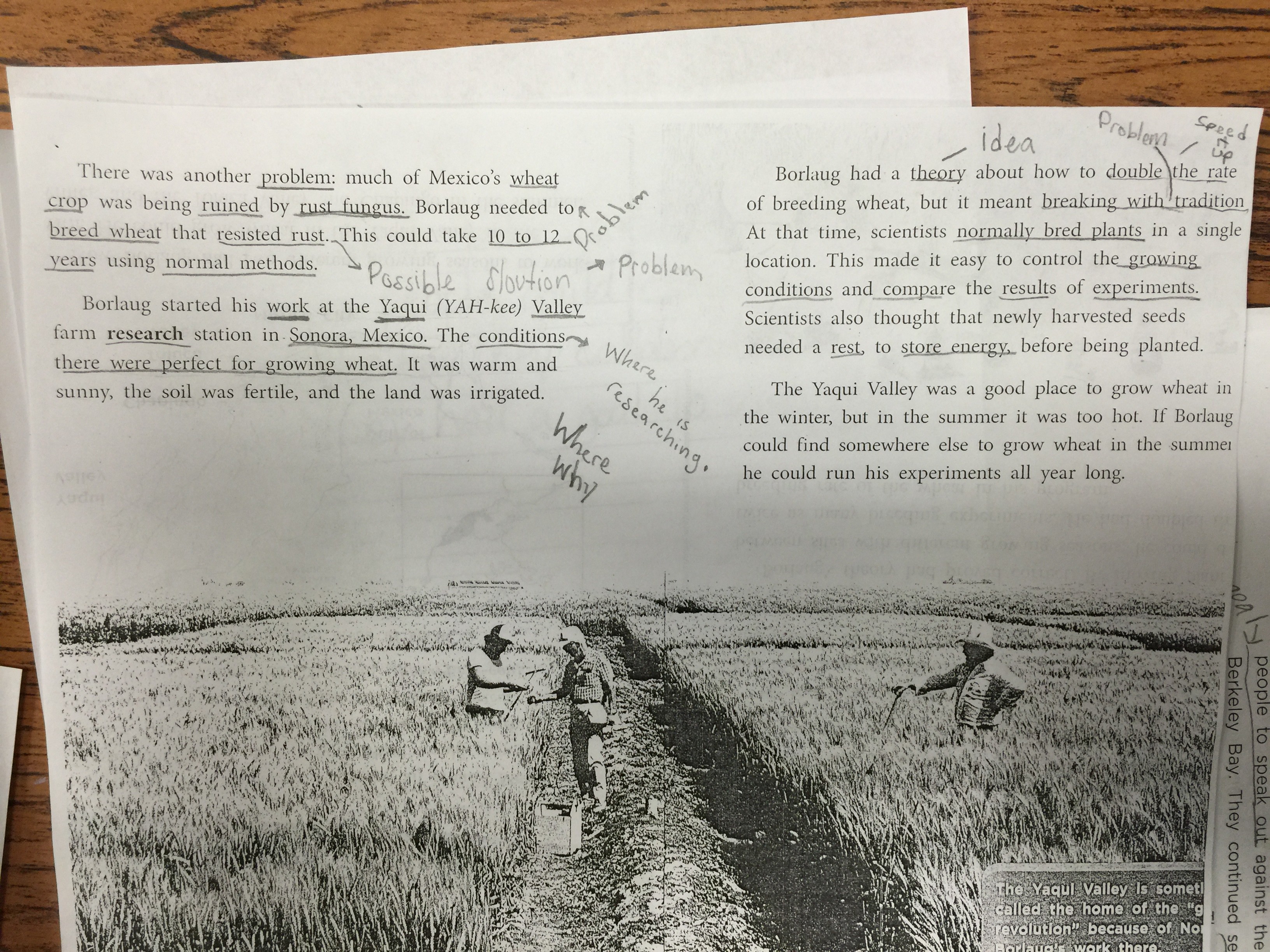 student annotated text 5th