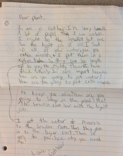 KV Letter to a plant